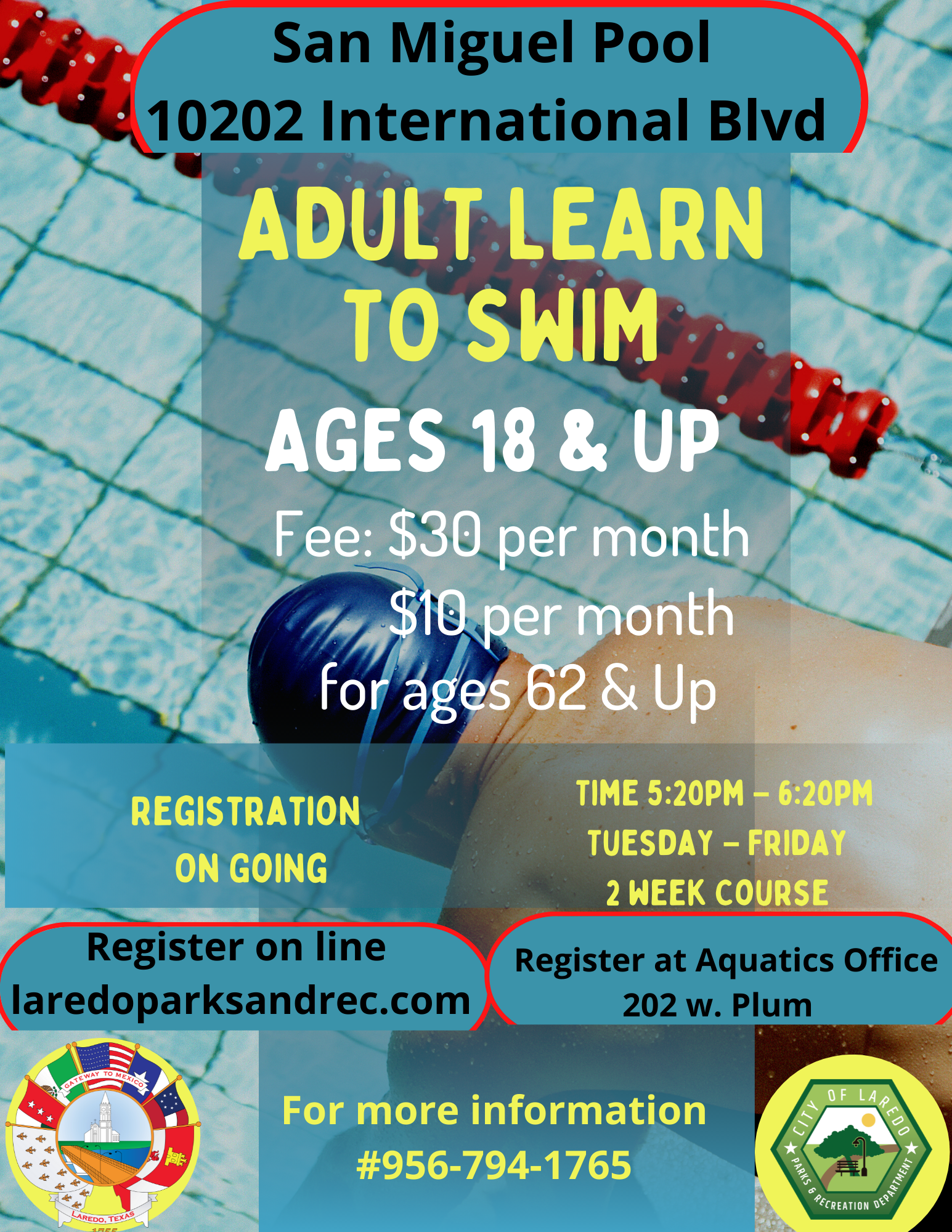 Adult Learn to Swim 
