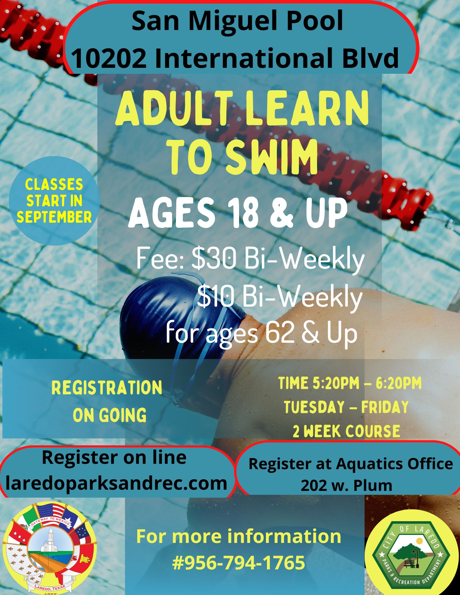 Adult Learn to Swim 