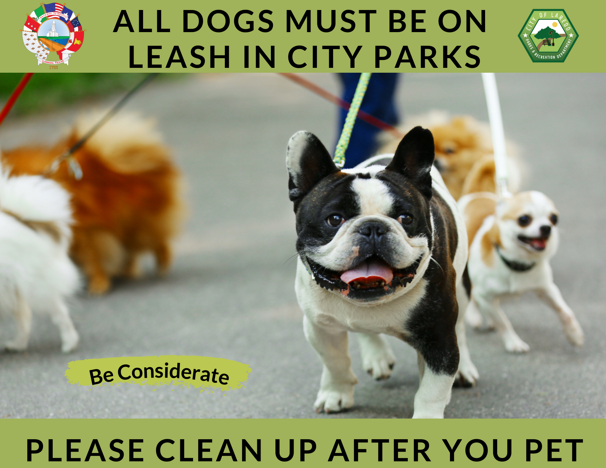 Dogs on Leash in City Parks