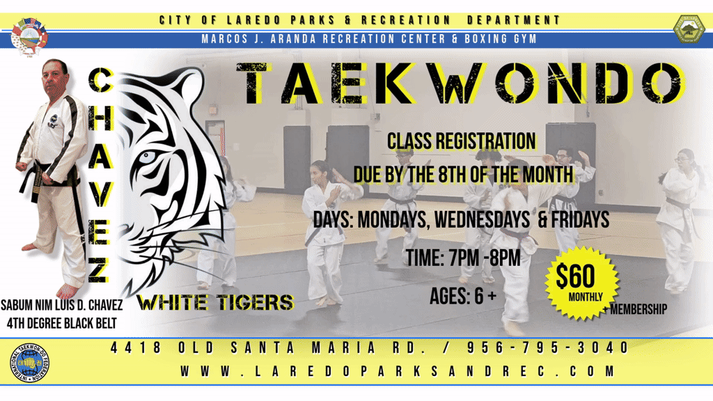 Taekwondo